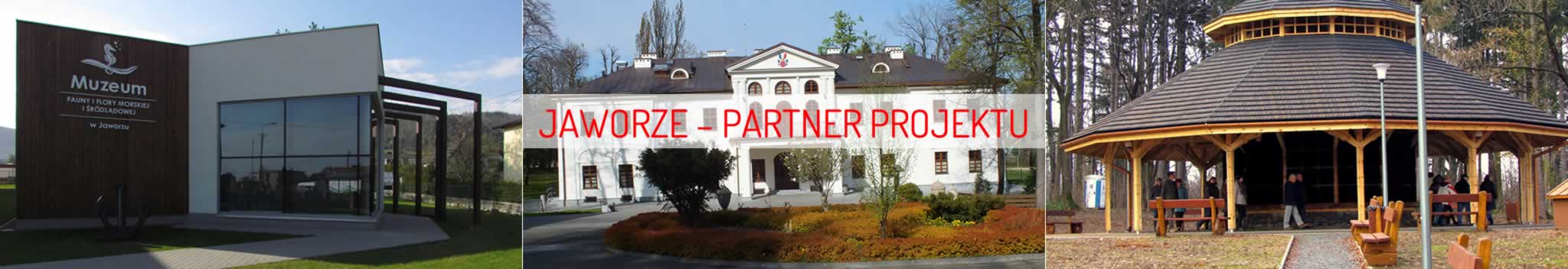 jaworze_titulka_PL